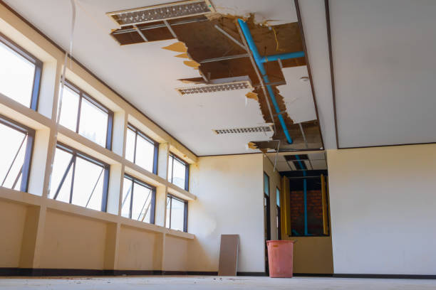 Best Flood restoration services  in Northglenn, CO