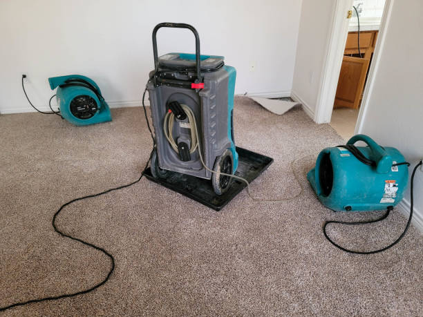 Best Water damage cleanup near me  in Northglenn, CO