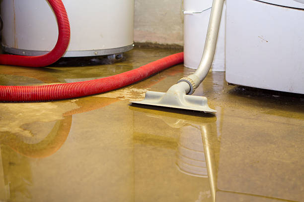 Best Commercial water damage restoration  in Northglenn, CO