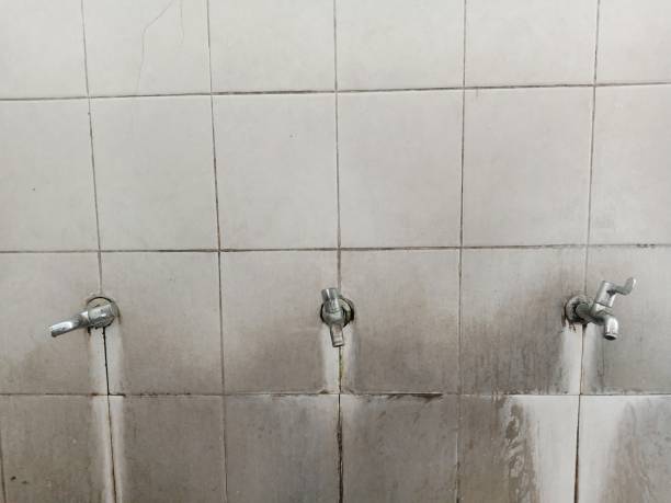 Best Water damage restoration cost  in Northglenn, CO
