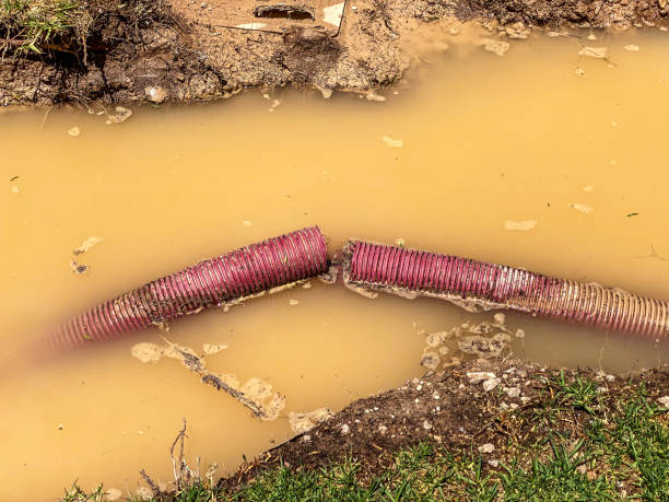 Best Flood restoration services  in Northglenn, CO